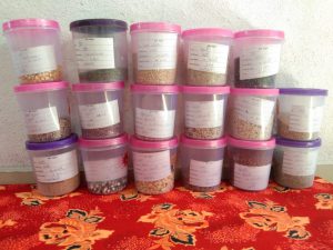 seed-bank-2
