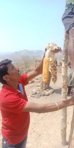 seed-bank-6